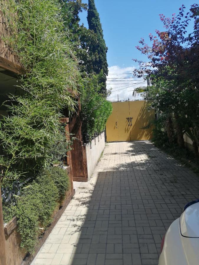 Magnoliia Hotel Sukhumi Exterior photo