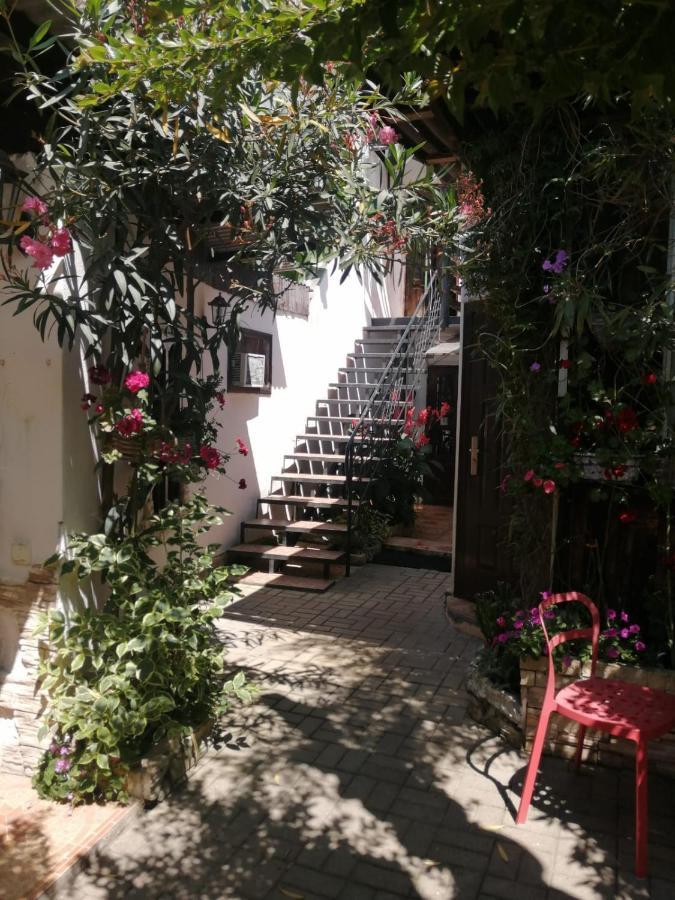 Magnoliia Hotel Sukhumi Exterior photo